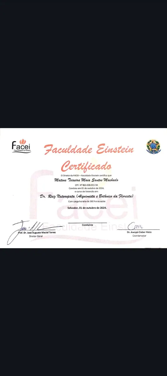 Dr. Raiz Naturopata — Alquimista e Botânico da Floresta